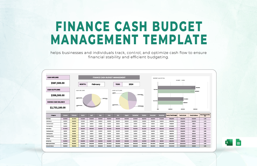 Finance Cash Budget Management Template