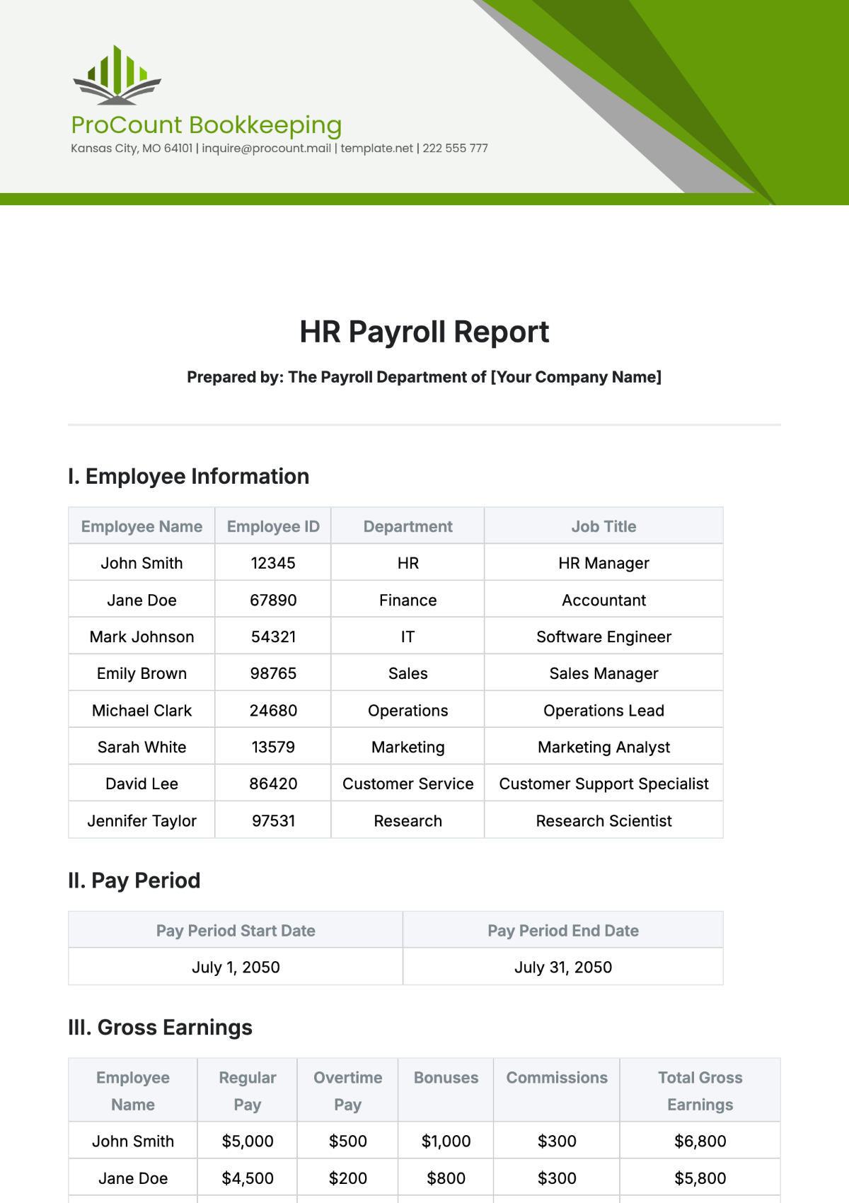 HR Payroll Report Template