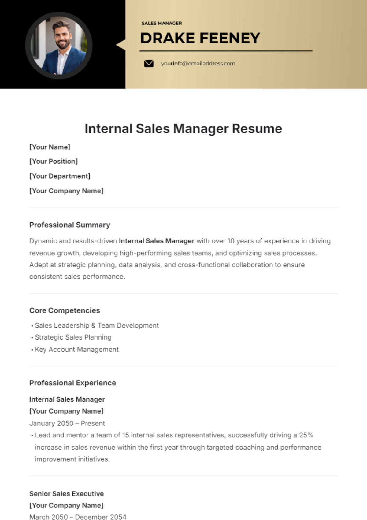 Internal Sales Manager Resume Template