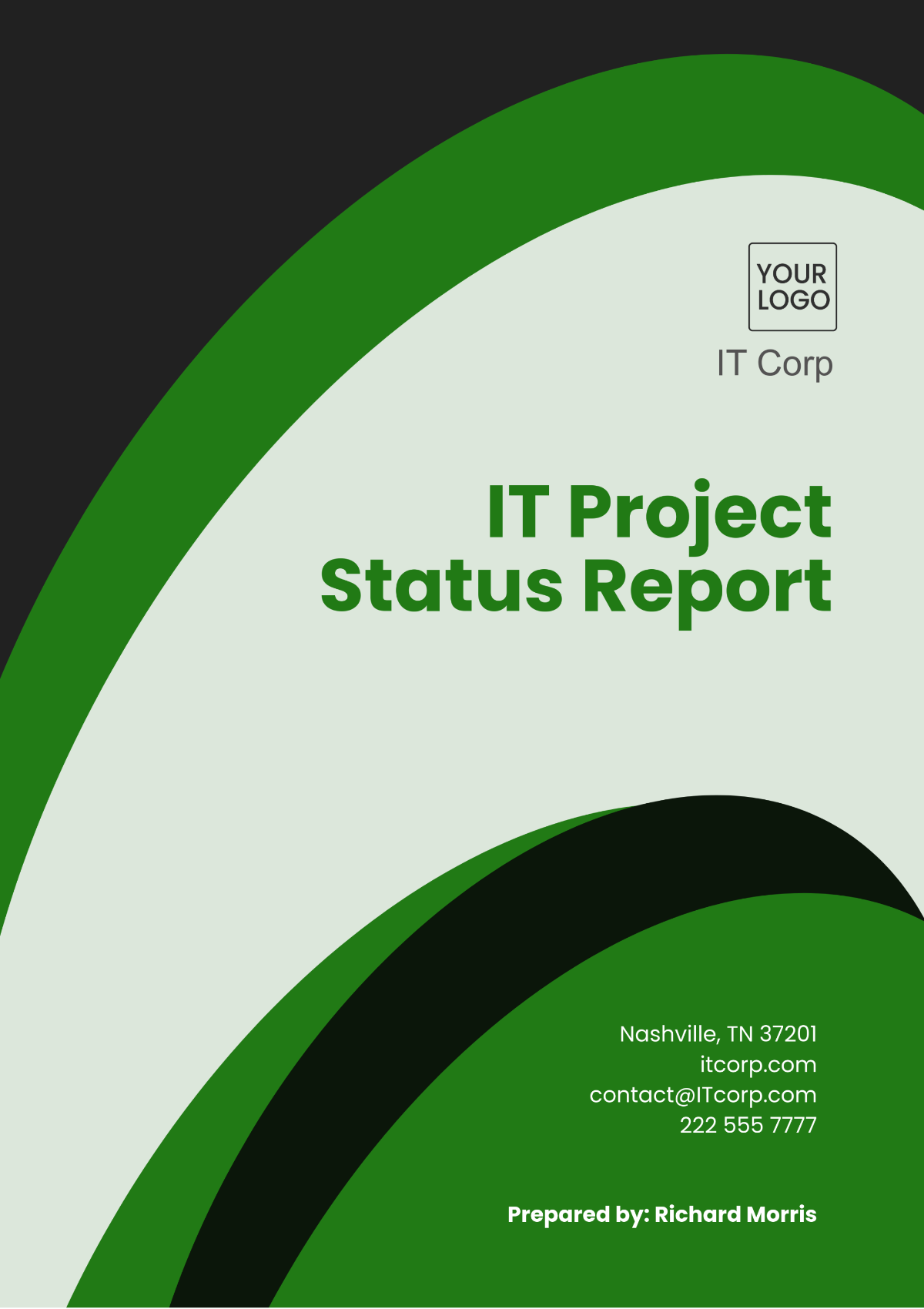 IT Project Status Report Template