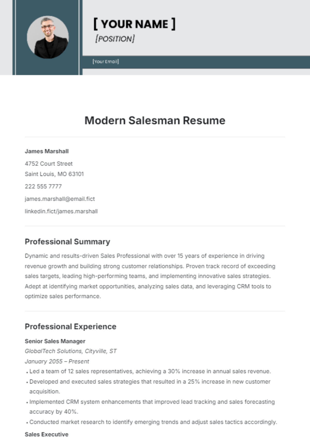 Modern Salesman Resume Template