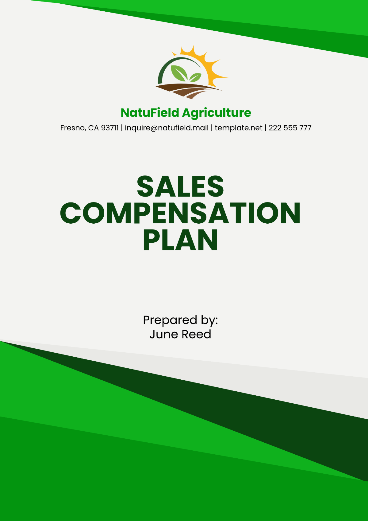 Sales Compensation Plan Template