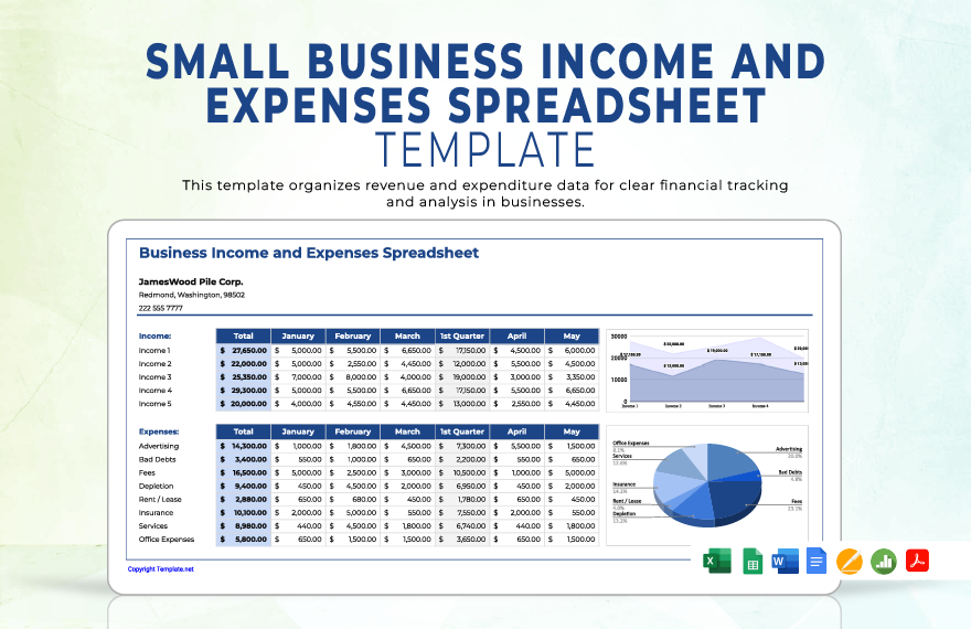 Small Business Income and Expenses Spreadsheet Template in Word, Apple Numbers, Apple Pages, Google Docs, PDF, Excel, Google Sheets - Download | Template.net